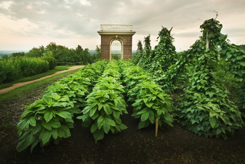gardens at monticello on the happy list