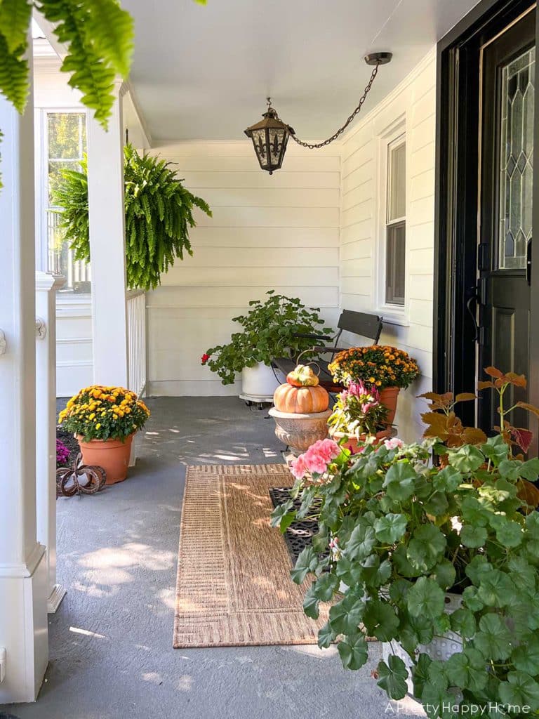 Fall front porch porch decorated for fall with paint blue ceiling natural rug and fall flowers