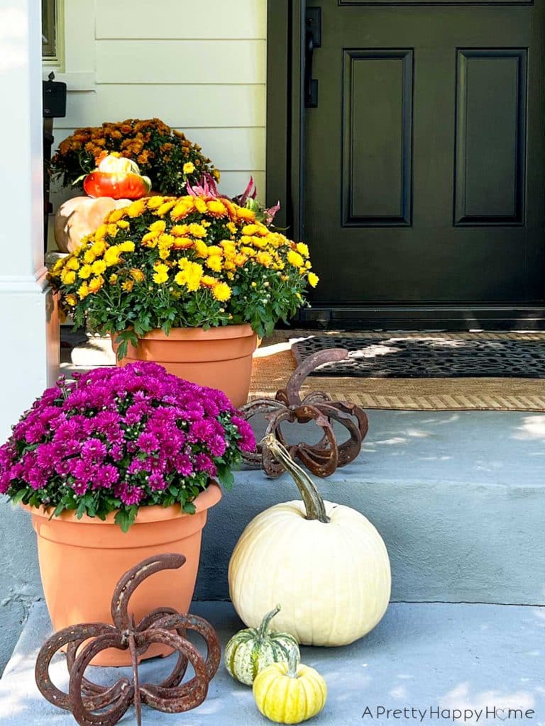 Fall front porch farmhouse porch decorated for fall with paint blue ceiling natural rug and fall flowers