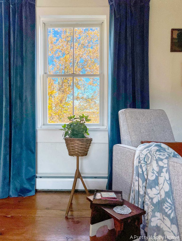 How I Styled My Latest Thrift Store Finds vintage basket plant stand styled in front of a window