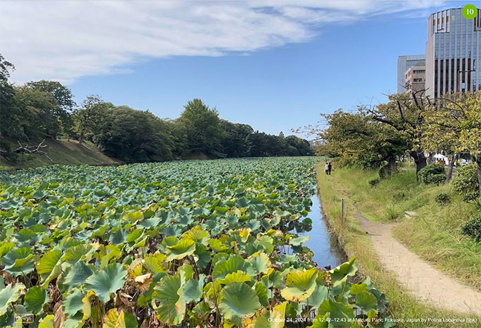 one minute park screenshot from japan on the happy list