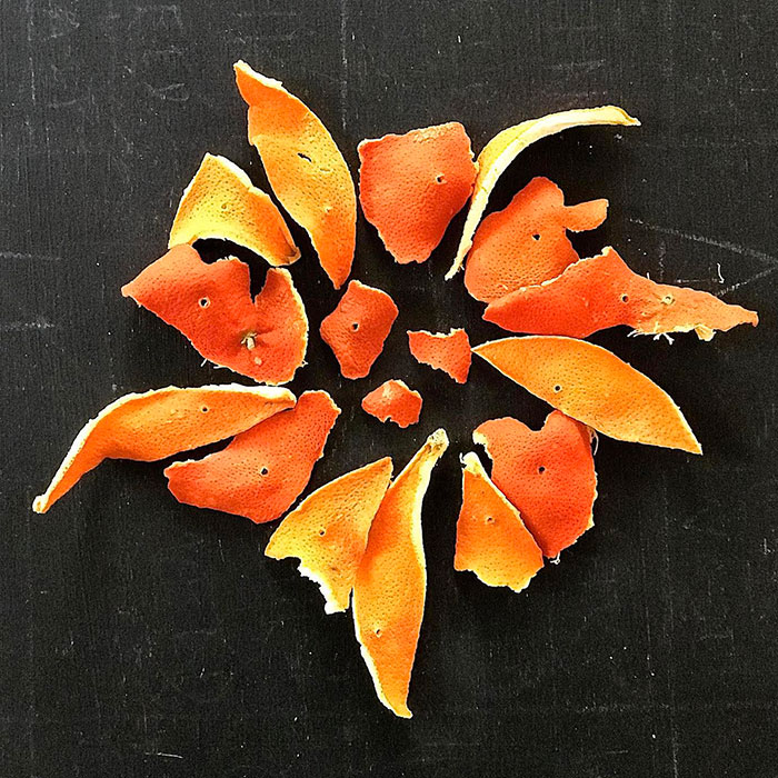 priscilla woolworth dried orange rind fire-starter on the happy list via gardenista