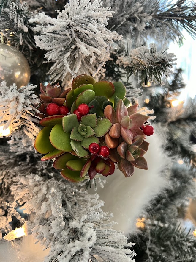 succulent christmas ornaments diy from my uncommon slice of suburbia on the happy list