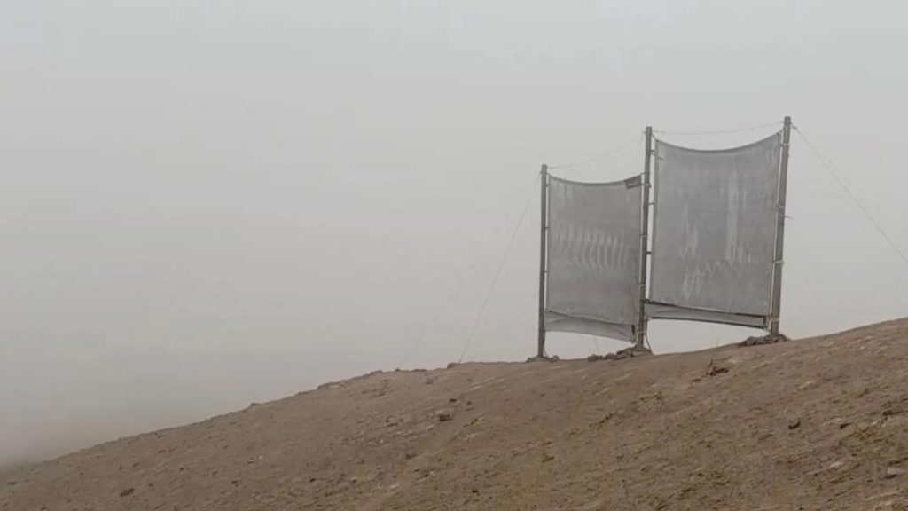 fog harvesting photo credit maria virginia carter gamberini via bbc on the happy list