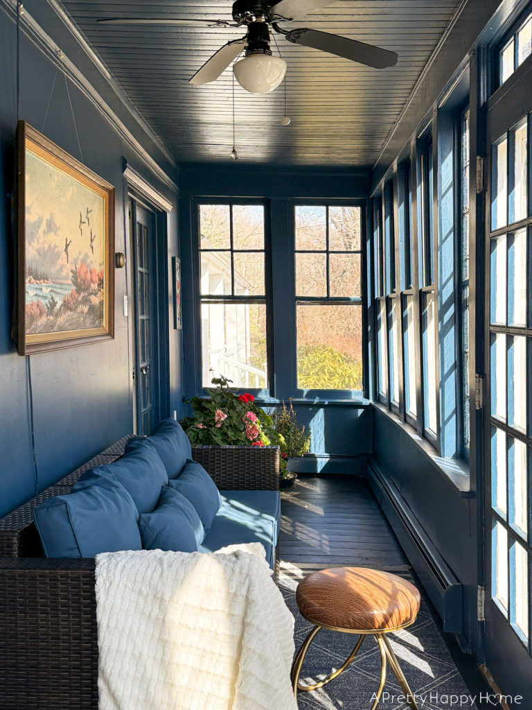 overwintering plants on a navy blue sunporch