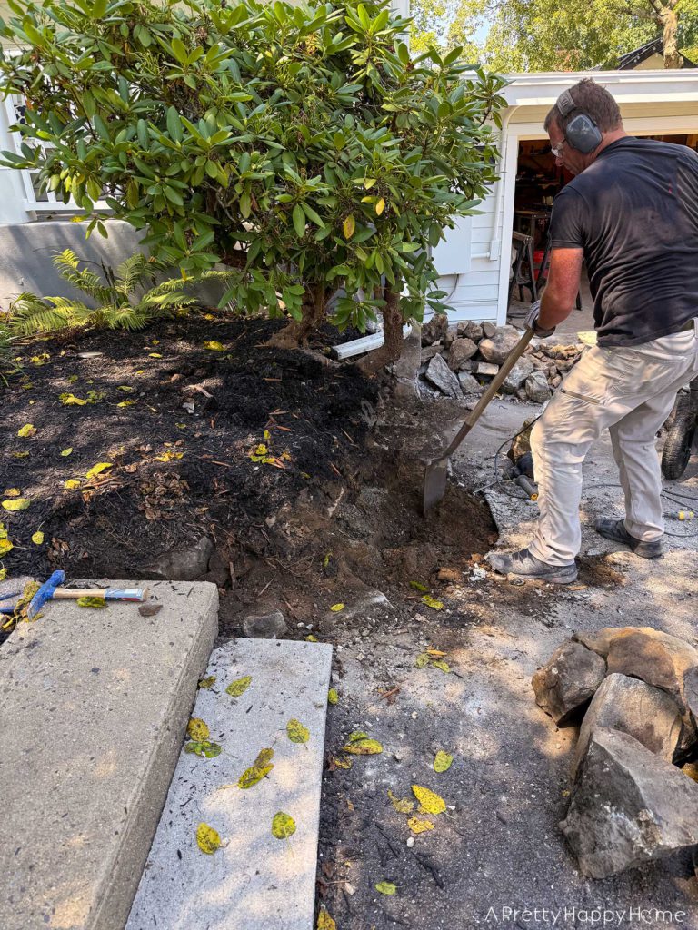 diy curved fieldstone wall demoing the old wall on a colonial era farmhouse