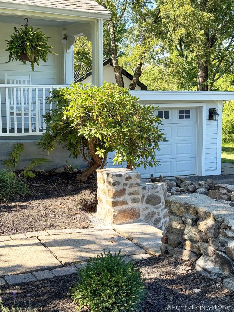 newly rebuilt curved fieldstone wall using lime mortar and natural fieldstone