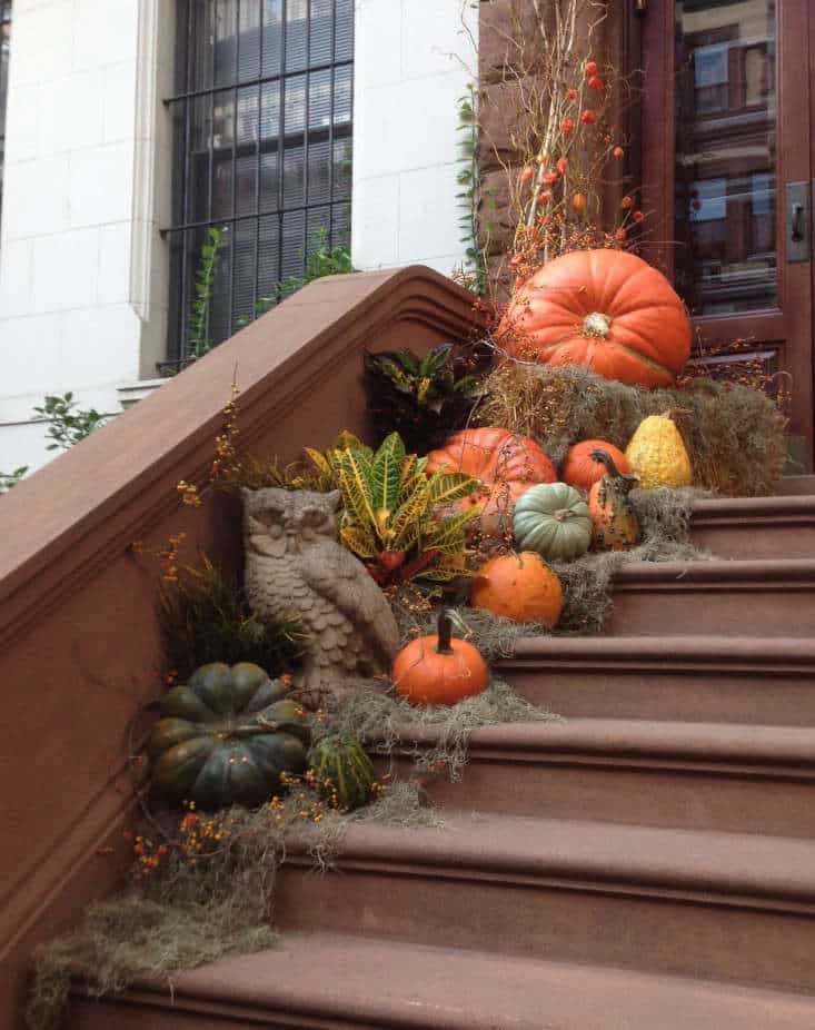 fall porch steps with pumpkins and a concrete owl via gardenista on the happy list