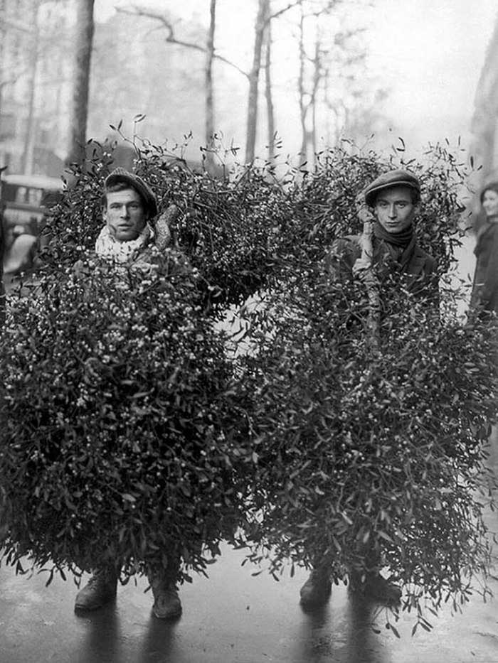 black and white photo of two men selling mistletoe in paris in 1928. They are carrying a branch of mistletoe around their necks that is as big as they are. Found via Le Club de Mediapart on the happy list