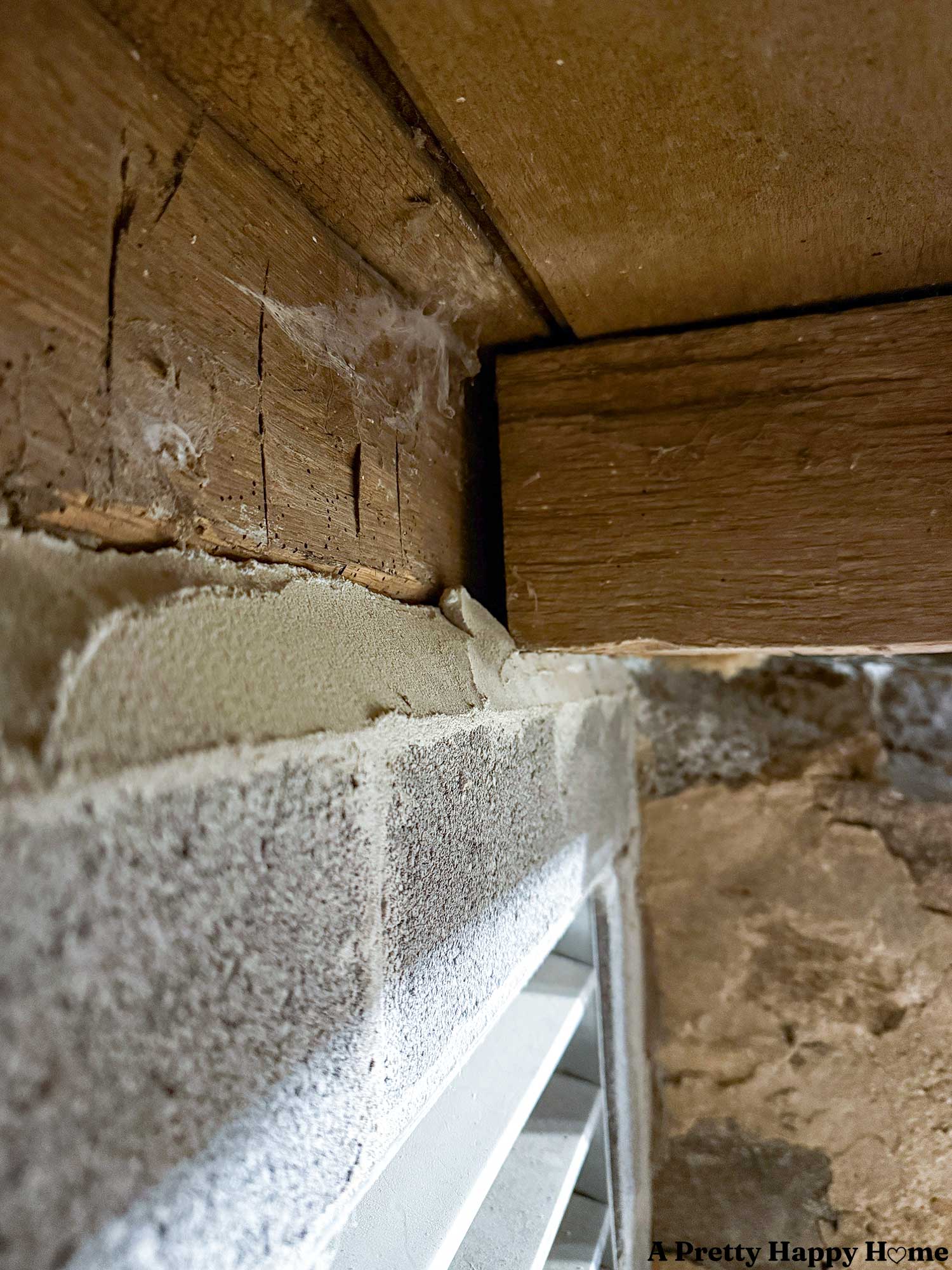 floor joist in a 1780s home that is sitting on 1/4 inch of concrete above a vented cinderblock opening. this modern feature of the home is not adequately supporting the floor joist